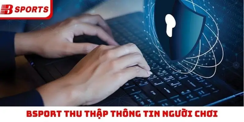 Bsport thu thập thông tin người chơi
