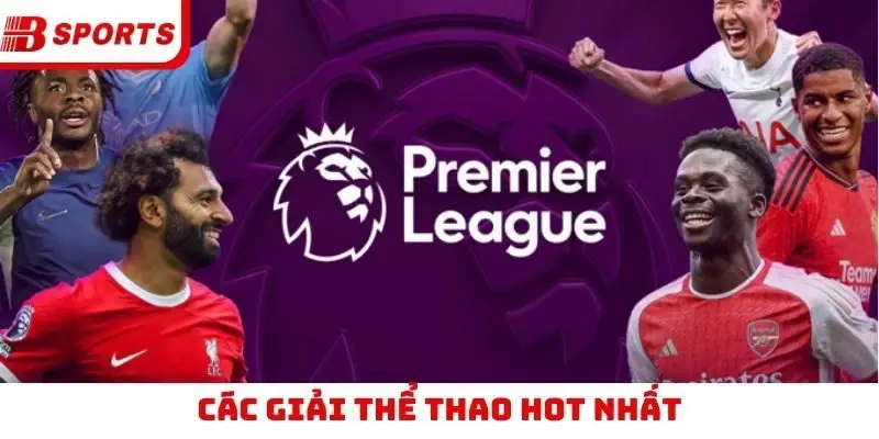 Các giải thể thao HOT nhất