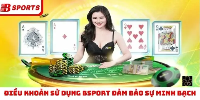 Điều khoản sử dụng Bsport đảm bảo sự minh bạch