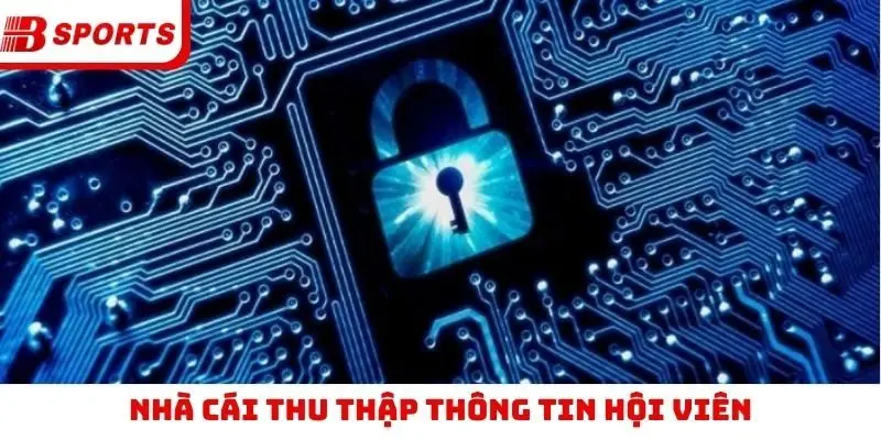 Nhà cái thu thập thông tin hội viên