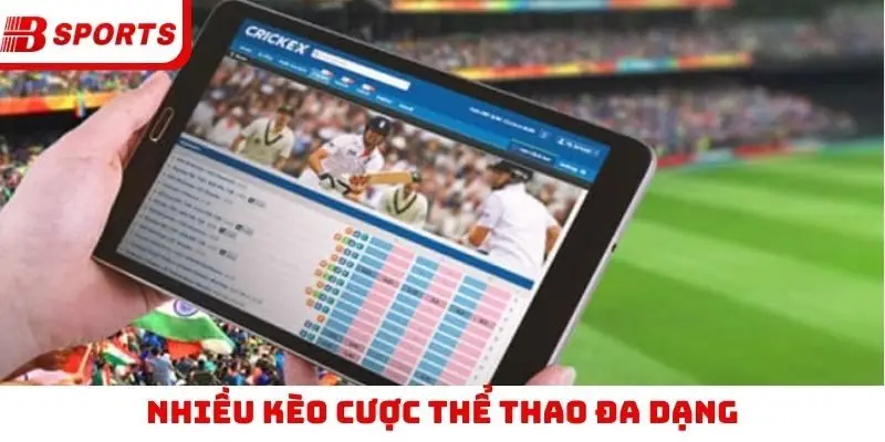 Nhiều kèo cược thể thao đa dạng